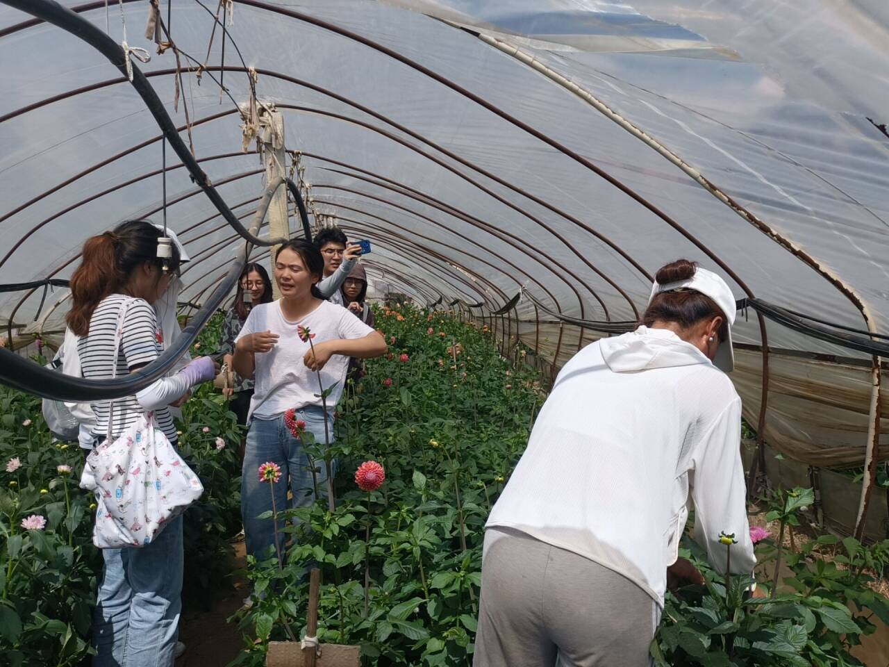 MrNֲܮa(chn)I(y)l(f)չ}