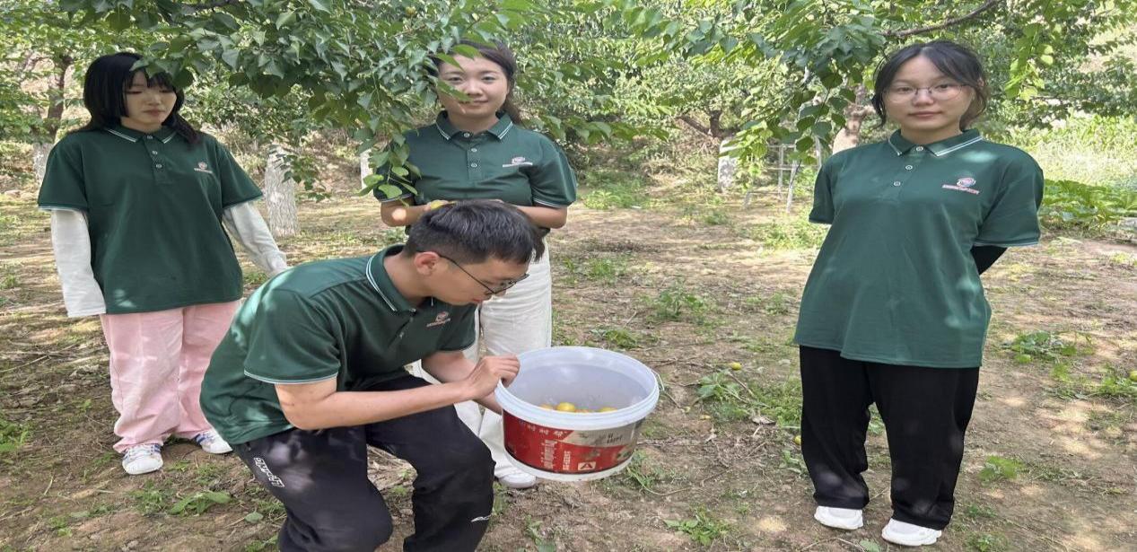 mW|ČWԺ`꠸|lh _չr`