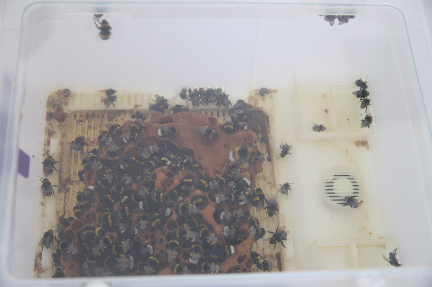 ɽ|WھG|`FwƼxܣǻrIlչ