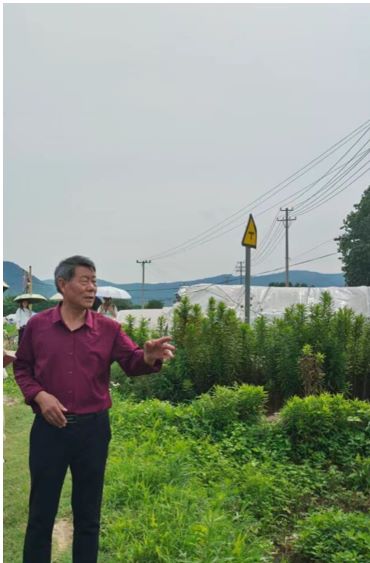 Ԓ֧̽l(xing)d֮·