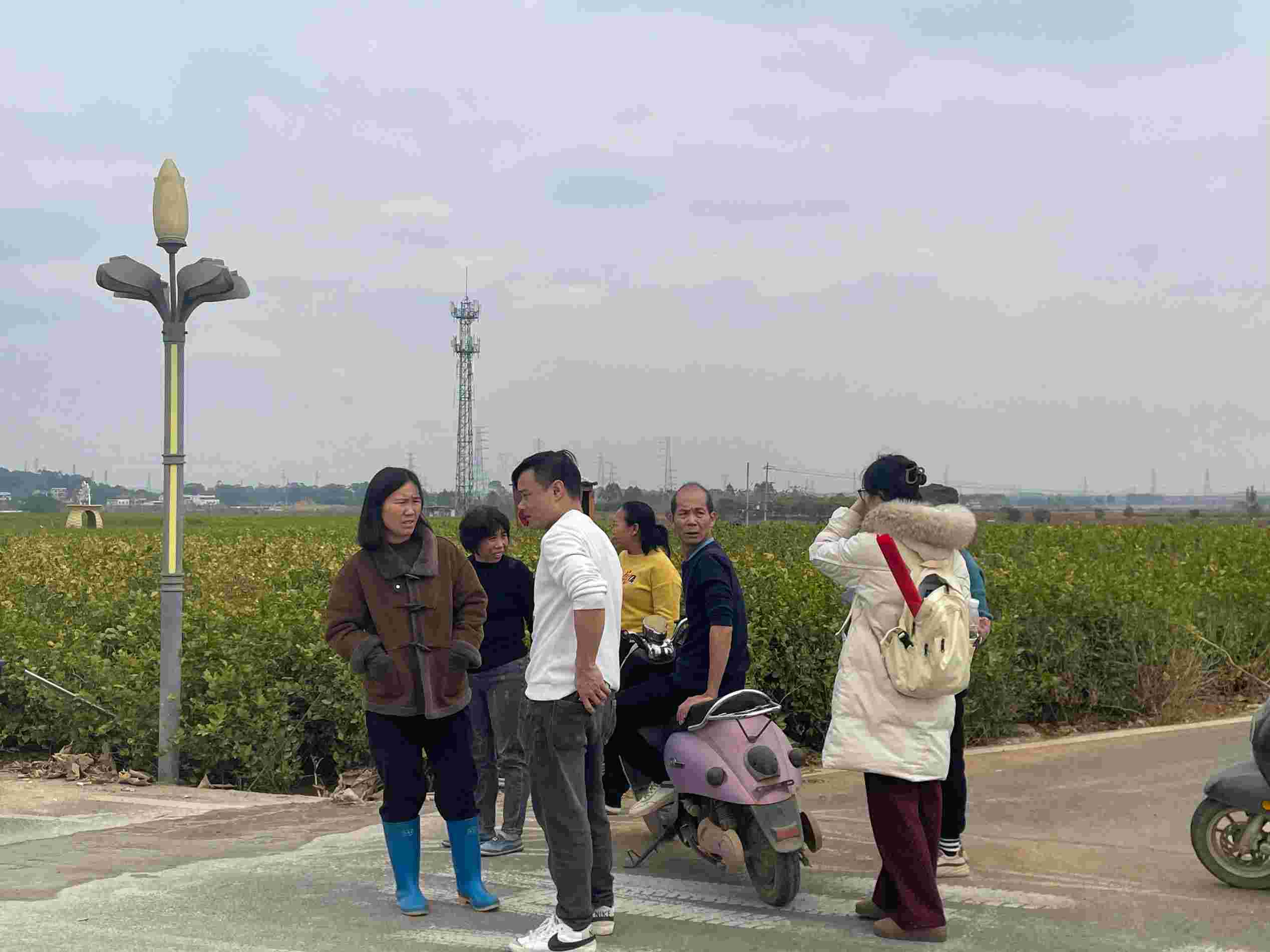 VWС{ЈFꠣx㣬rIlչVƪ