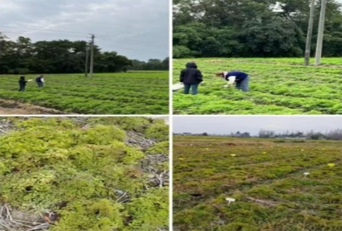 ̿(lin)ϼg(sh)kr(nng)B(ti)ϡ