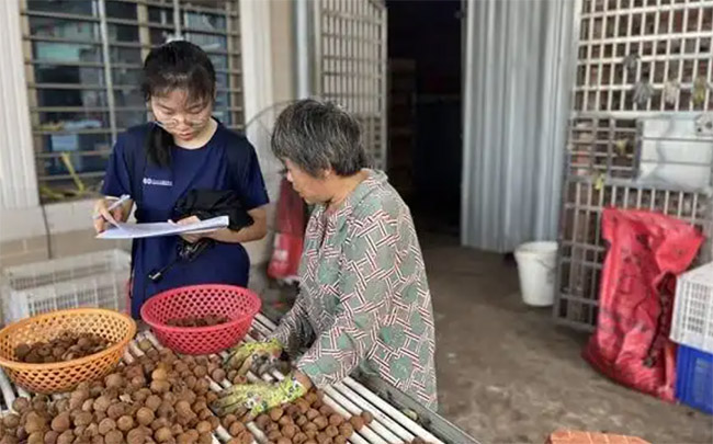 136W(xu)̤L(fng)֦塱