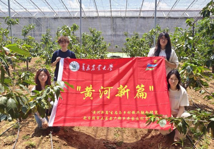 Sƪ{(dio)ЈFഺǻr(nng)ҼtLd