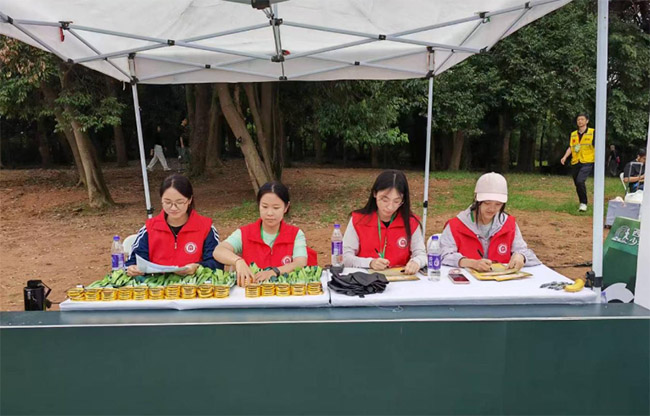 㽭ؔ(ci)(jng)W(xu)f(xi)2025ԽҰِ