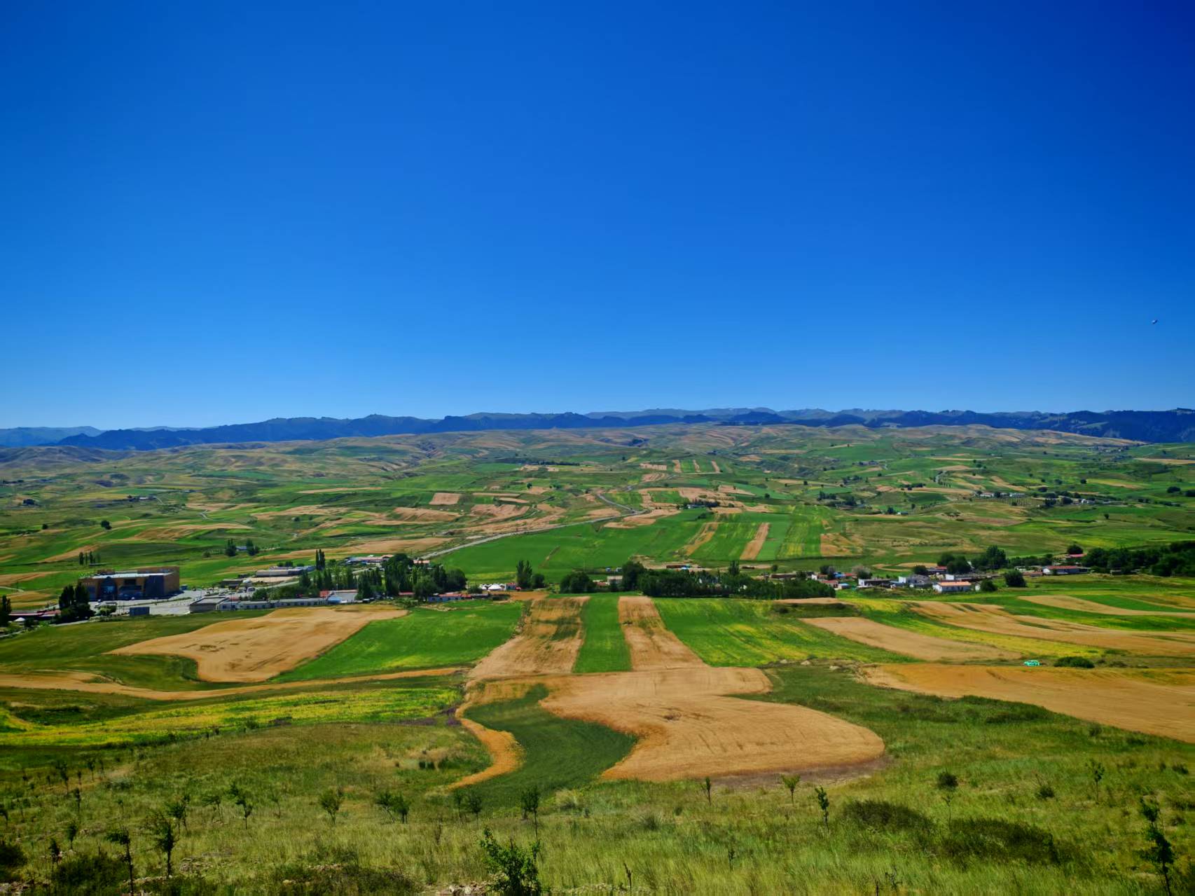 uƼW(xu)(mng)l(xing)dM(jn)F(tun)ľh_(ki)չ(sh)`(dng)