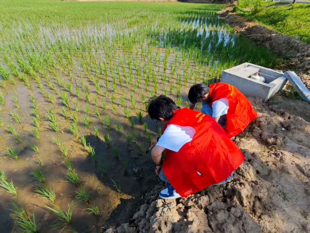 KʡWЄӽKڶWԺGҰңlС_չϵЭhջ