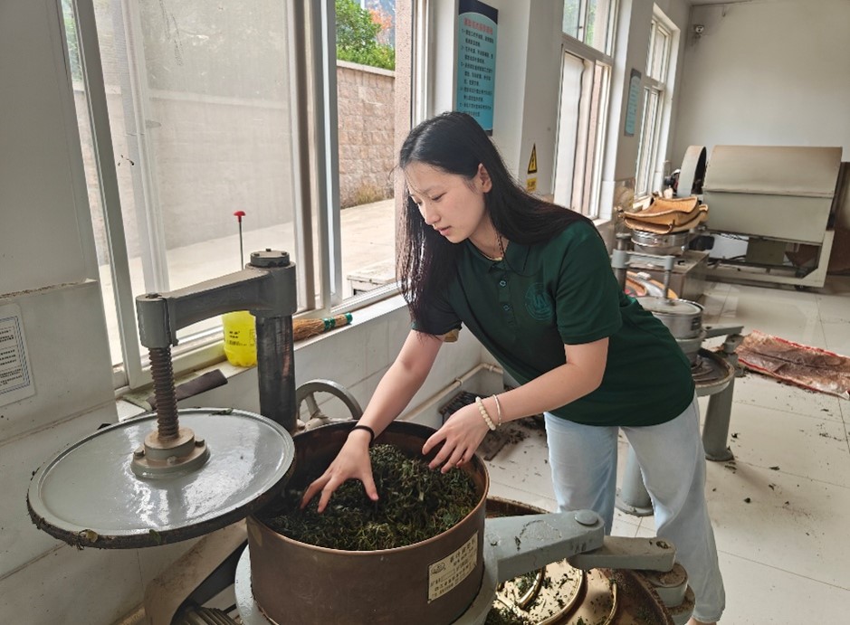 ഺxܾG朣ݘI(y)W(xu)ɽ|@̽ءxx̼ģʽ 