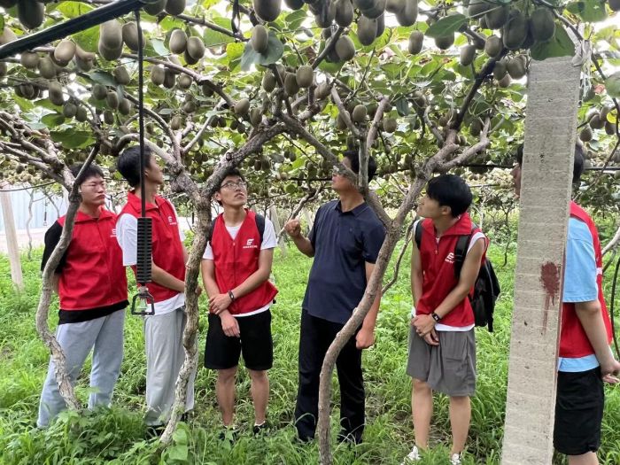 LԴ|r(nng)I(y)r̽JҮa(chn)I(y)ǰ