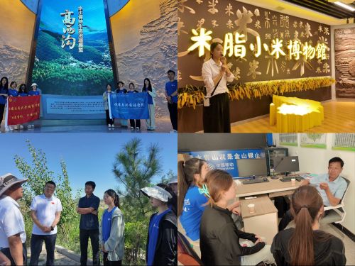 ͨW(xu)ЌW(xu)Ժ`F֮֬УഺP|Ll(xing)ƪ