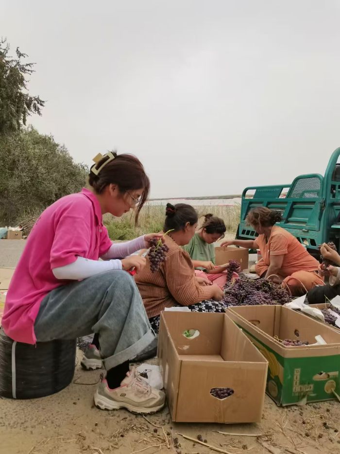 {(dio)ЈAMĻഺWҫ߅