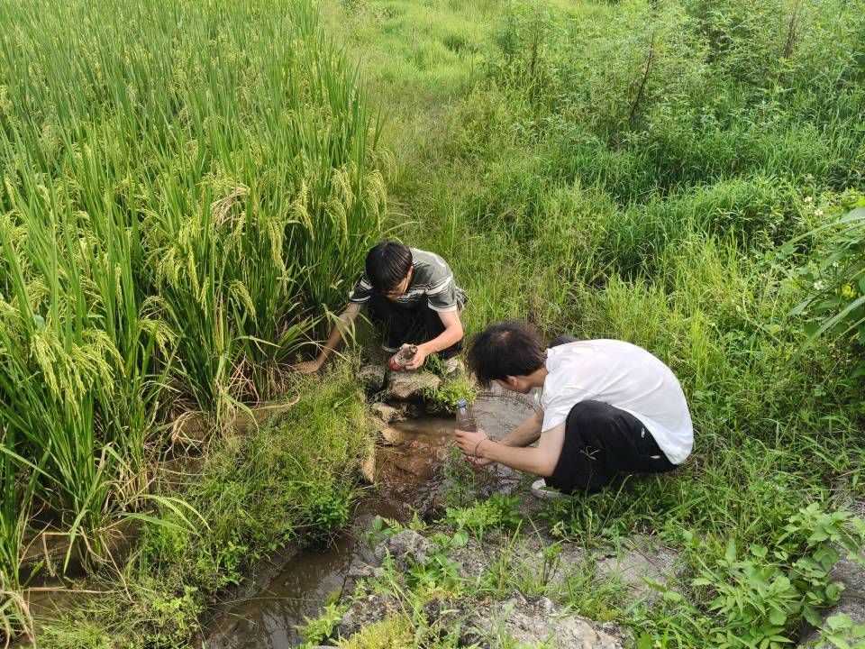 ഺl(xing)d 𺽌W(xu)Ӹp_(ki)չr(nng)I(y){(dio)