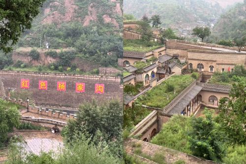 l(xing) &#160;ýcZW(xu)Ժ (dng)AIMݵİg