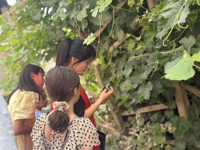 8625f0c8b64aad9d6f87a91dd10be0f